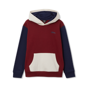 Boys Graphic Camp Fleece Hoodie - CABERNET