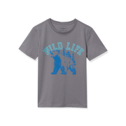 Boys Short Sleeve Graphic T-Shirt - GREY HEATHER
